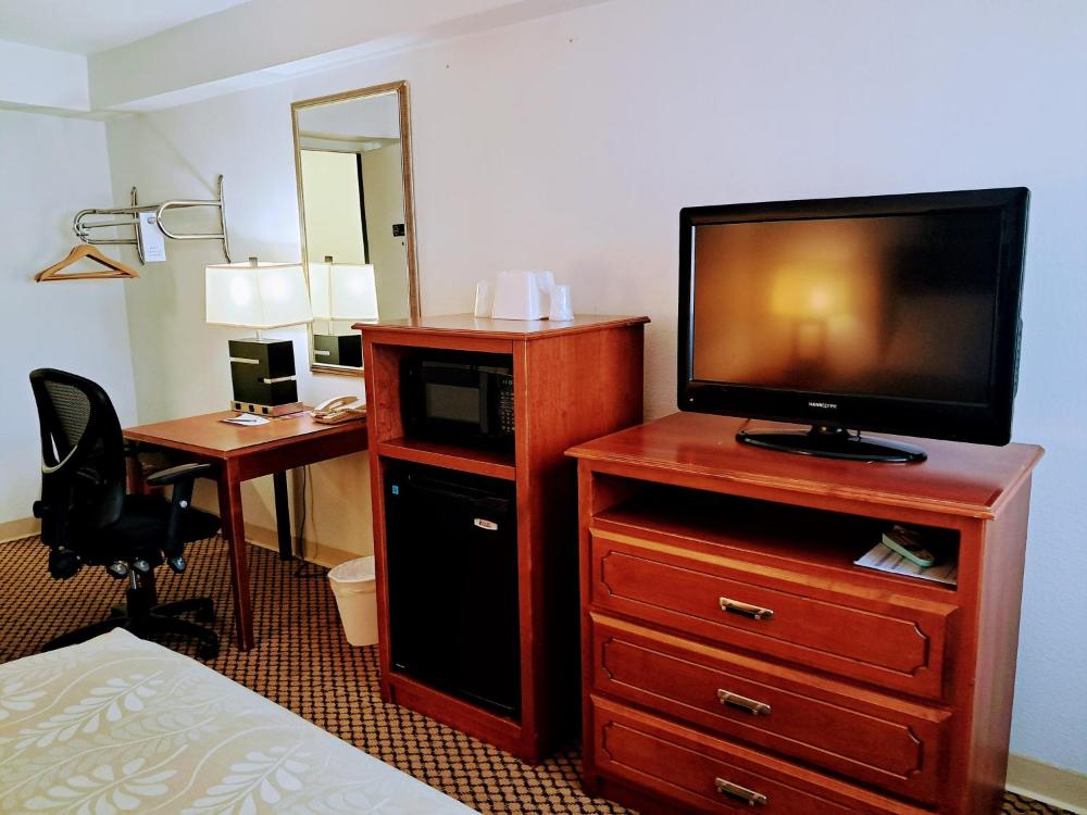 Large Single Room interior